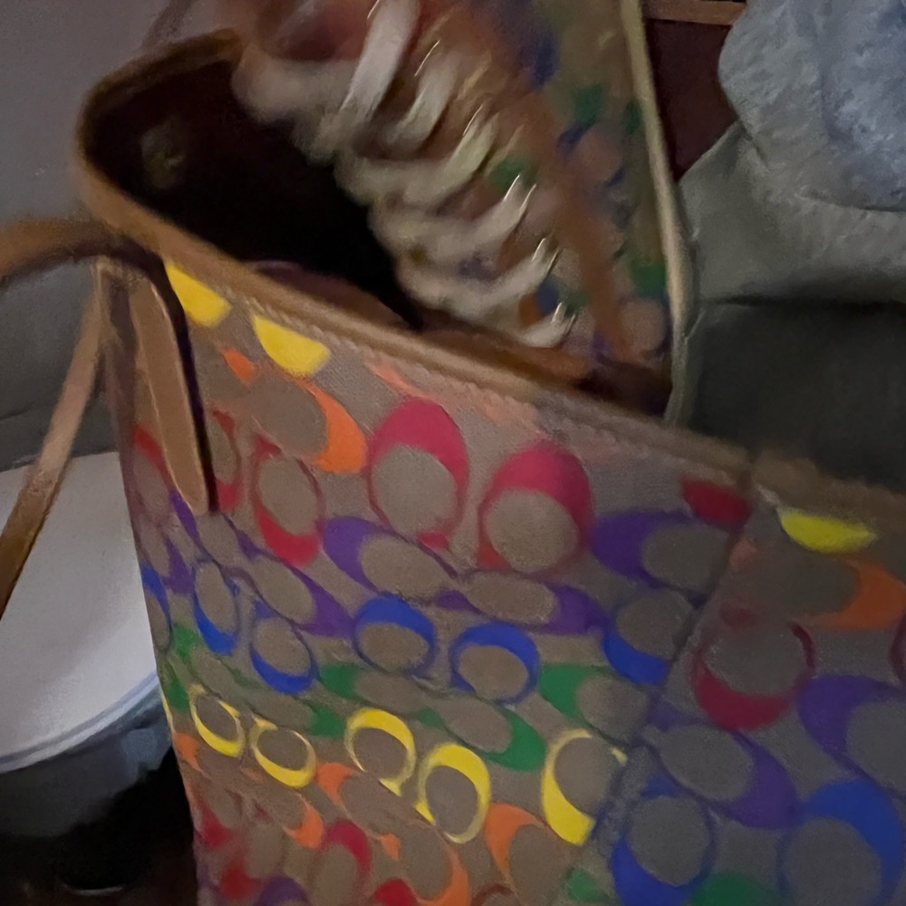 Coach Multicolor Signature Tote